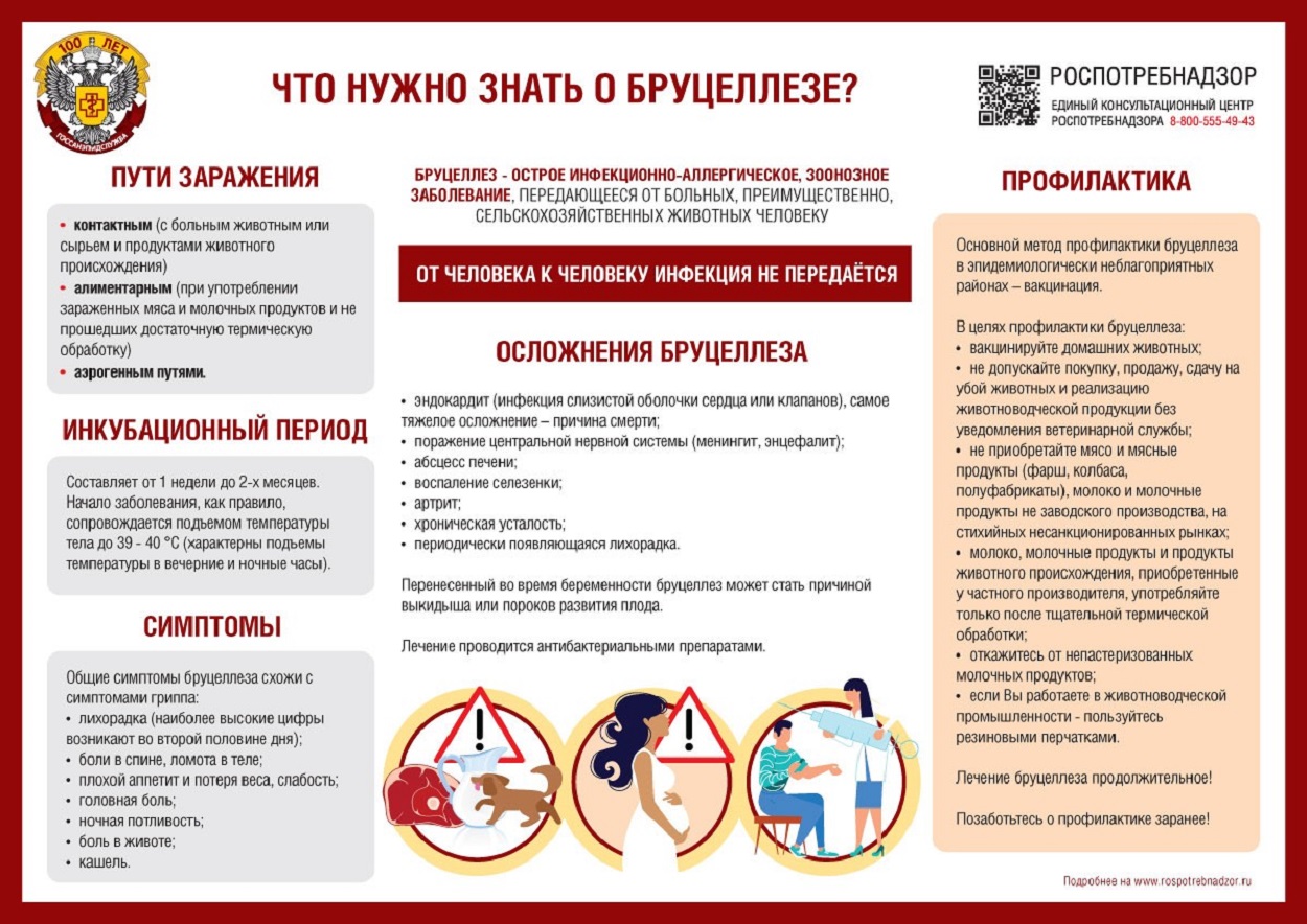 pamyatka-po-brutselljozu